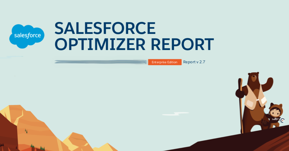 Optimizer Report Page