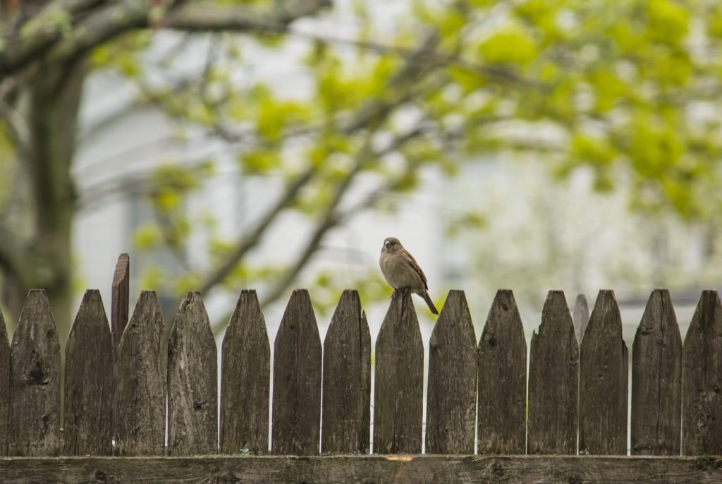 Selective Syncing from Both Sides of the Fence