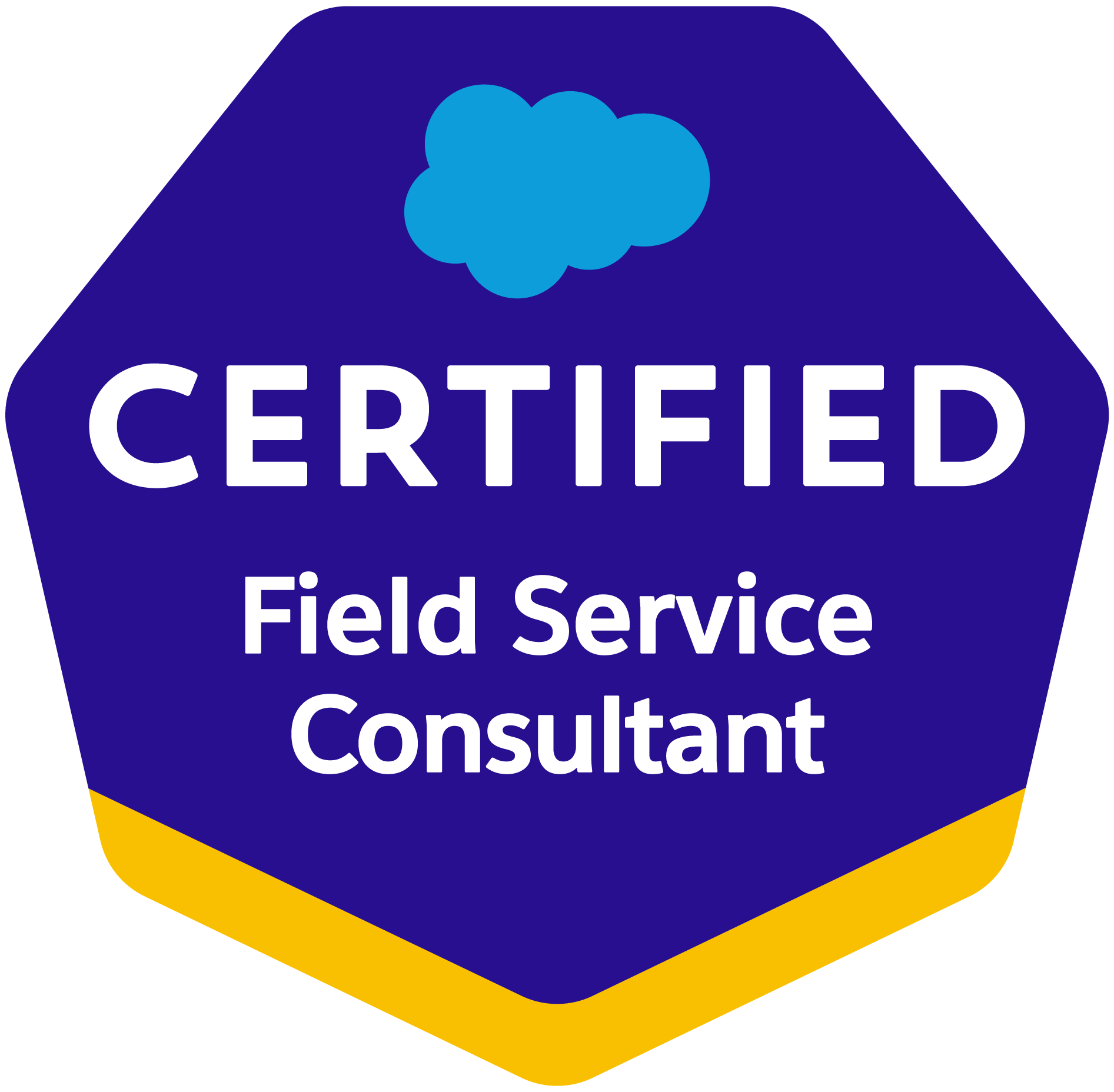 Certification Logo *Field Service Consultant