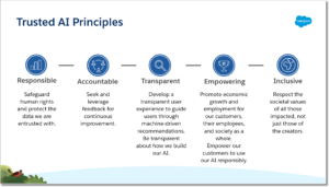 The 5 trusted principles: responsible, accountable, transparent, empowering and inclusive. 