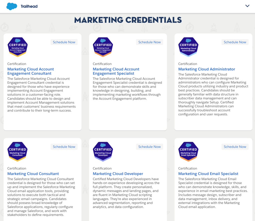 Screenshot of the overview of the available Salesforce Marketing Credentials