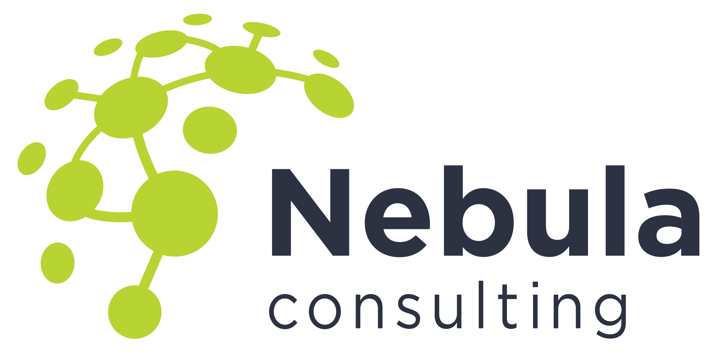 Nebula Consulting