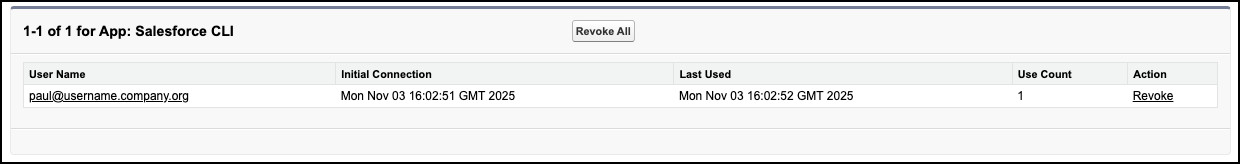 Screenshot of Authenticated Users of Connected App